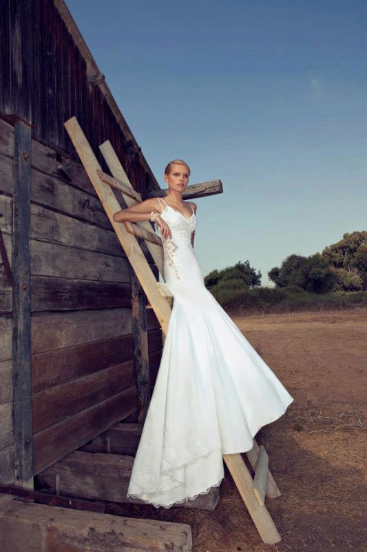Vestidos de Novia Vestidos de Novia