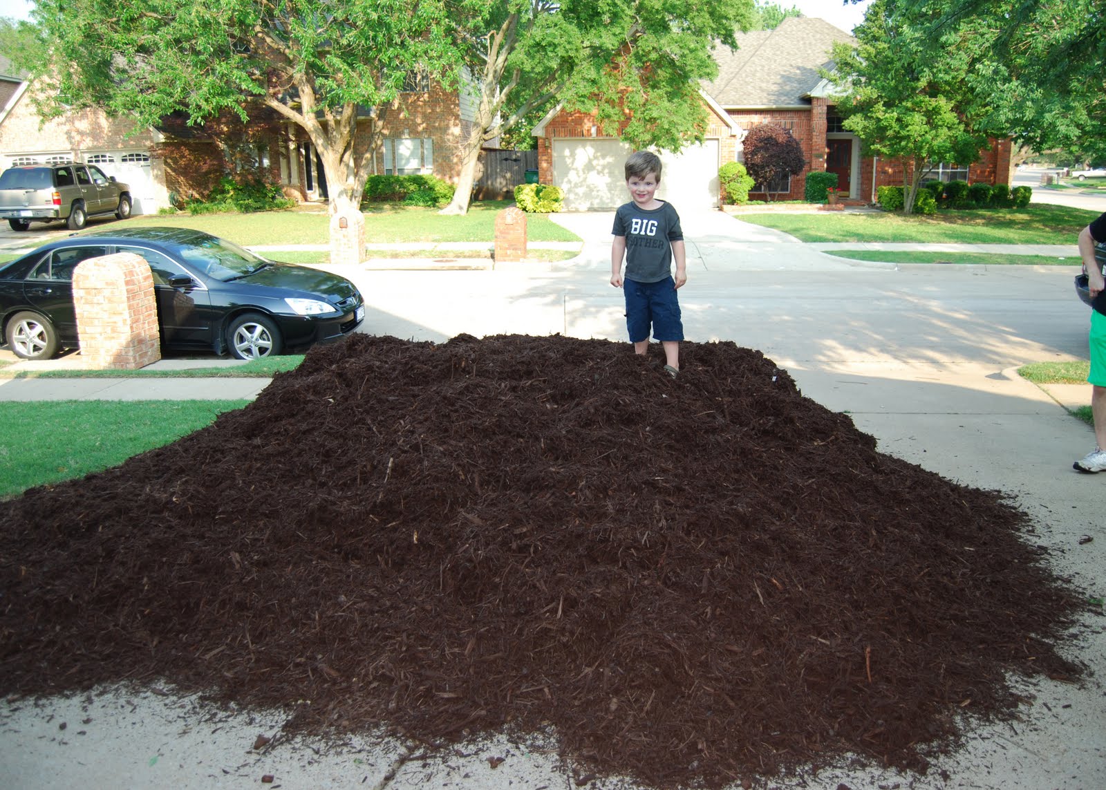 Momfessionals Mulch, Mulch and More Mulch