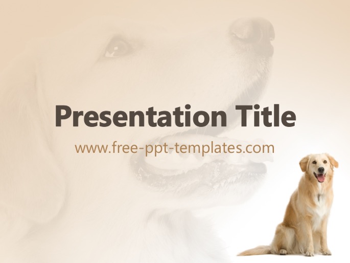 Dog PPT Template