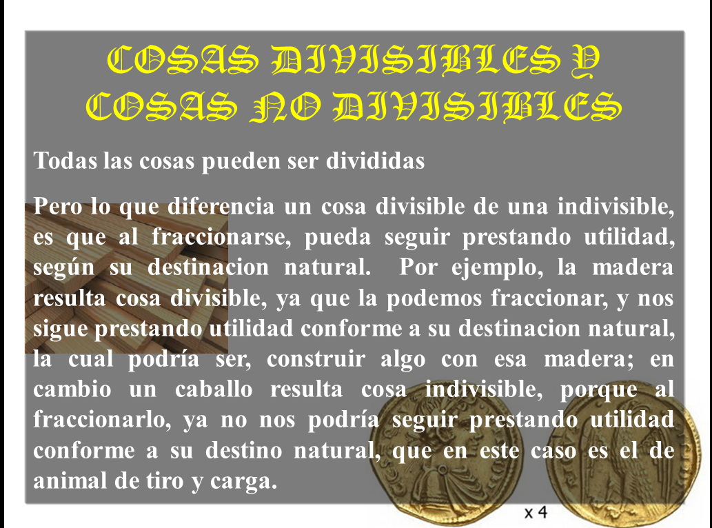 LAS COSAS Y LOS DERECHOS REALES: Cosas Divisibles y Cosas no Divisibles