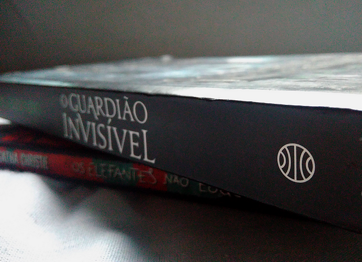 Resenha O Guardião Invisível, O Guardião Invisível Dolores Redondo, Filme Guardião Invisível