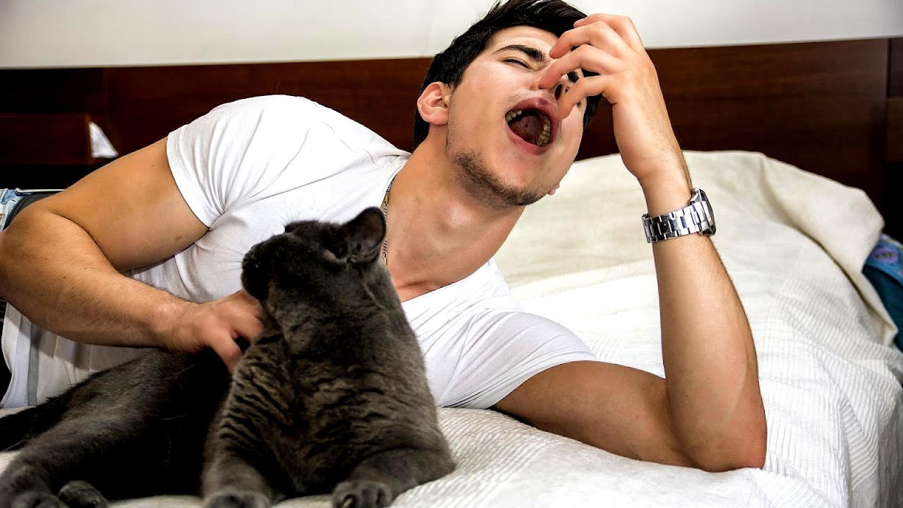 How Do You Know If Your Allergic To Cats Cat Choices