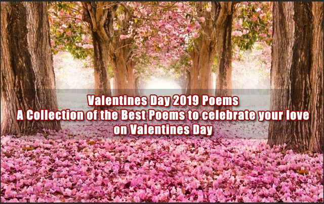Valentines Day 2019 Poems | https://www.valentinesdays.org valentines day poems,valentines day poems for him,valentines day poems to him,valentine day poems in hindi,valentines day poems for husband,valentines day poems husband,valentines day poems for her,valentines day poems her ,valentines day poems short,valentines day poems for friends,valentines day poems to friends,valentines day love poems,valentines day poems to boyfriend,valentines day poems to wife,valentines day poems wife,valentines day poems funny,happy valentine's day kid poems,happy valentines day niece poems,happy valentines day poems quotes,,mom on valentines day poems,old valentines day poems,romantic valentine day poems and love quotes,romeo and juliet valentines day poems,st valentine day poems of love,unique valentines day poems,valentine day love poems for wife,valentine day poems hindi,valentine day poems in marathi,valentine day propose poem,valentine's day 4 line poems ,valentine's day break up poems,valentine's day death poem,valentine's day haiku poems,valentine's day math poems,valentine's day poem contest,valentine's day poem generator,valentine's day prayer poem ,valentine's day reflections poem,valentine's day with jesus poem,valentines day card poems,valentines day hate poems,valentines day love poems for girlfriend,valentines day love poems for him,valentines day love poems for husband,valentines day pictures poems,valentines day poems 2018,valentines day poems and pictures,valentines day poems and quotes,valentines day poems and quotes for him,valentines day poems by famous poets,valentines day poems by jack prelutsky,valentines day poems dad,valentines day poems daughter,valentines day poems for everyone,valentines day poems for love of my life,valentines day poems for loved ones in heaven,valentines day poems for married couples,valentines day poems for parents from preschoolers,valentines day poems funny roses are red,valentines day poems girlfriend to boyfriend,valentines day poems images,valentines day poems in french,valentines day poems in tamil,valentines day poems kindergarten,valentines day poems or quotes,valentines day poems parents ,valentines day poems religious,valentines day poems romantic,valentines day poems roses are red violets are blue,valentines day poems rude,valentines day poems short funny,valentines day poems to mom,valentines day poems to parents from child,vulgar valentines day poems,algebra 2 valentines day poems,jokey valentines day poems,offensive valentines day poems,quick valentines day poems,rude valentines day poems roses are red violets are blue,short valentines day poems roses are red violets are blue,urban valentines day poems,valentine's day candy poems,valentine's day geometry poems,valentine's day handprint poems,valentine's day rude kinky poems,valentines day poem child,valentines day poem maker,valentines day poem mother,valentines day poems about food,valentines day poems afrikaans,valentines day poems child to parent,valentines day poems dirty ,valentines day poems en espanol,valentines day poems for 4th graders,valentines day poems for boyfriend in jail,valentines day poems for elementary school,valentines day poems grandma,valentines day poems grandparents,valentines day poems humorous,valentines day poems in afrikaans,valentines day poems in spanish for mom,valentines day poems naughty,valentines day poems preschool,valentines day poems printable,valentines day poems printables quotes cards,valentines day poems secret admirer,valentines day poems spanish,valentines day poems that will make her cry,valentines day poems using math terms,valentines day poems with candy,valentines day verses poems