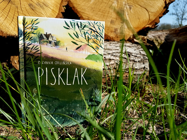 Pisklak - Zuzanna Orlińska - Nasza Księgarnia - ksiażki dla dzieci - książki dla młodzieży