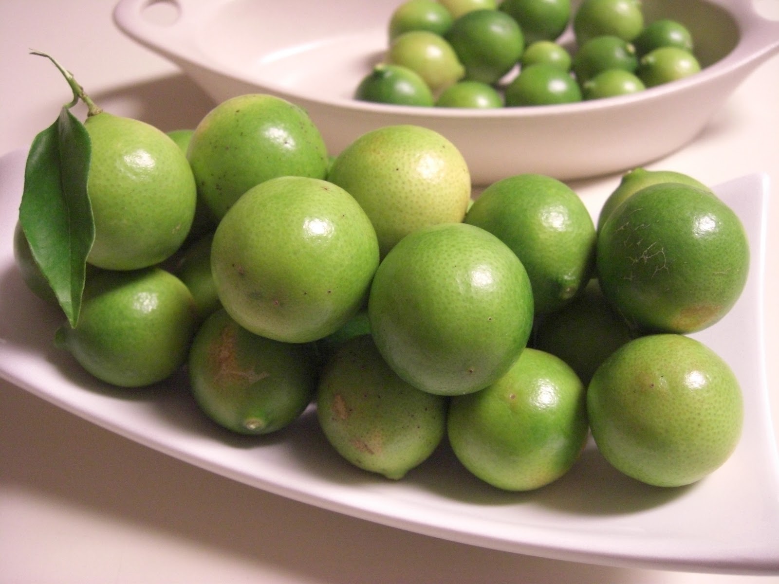 For the Love of Food End Of Summer And The Key Lime Season