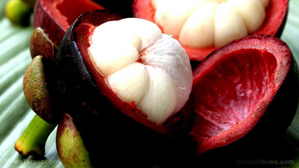 African Journal of Traditional, Complementary and Alternative Medicines