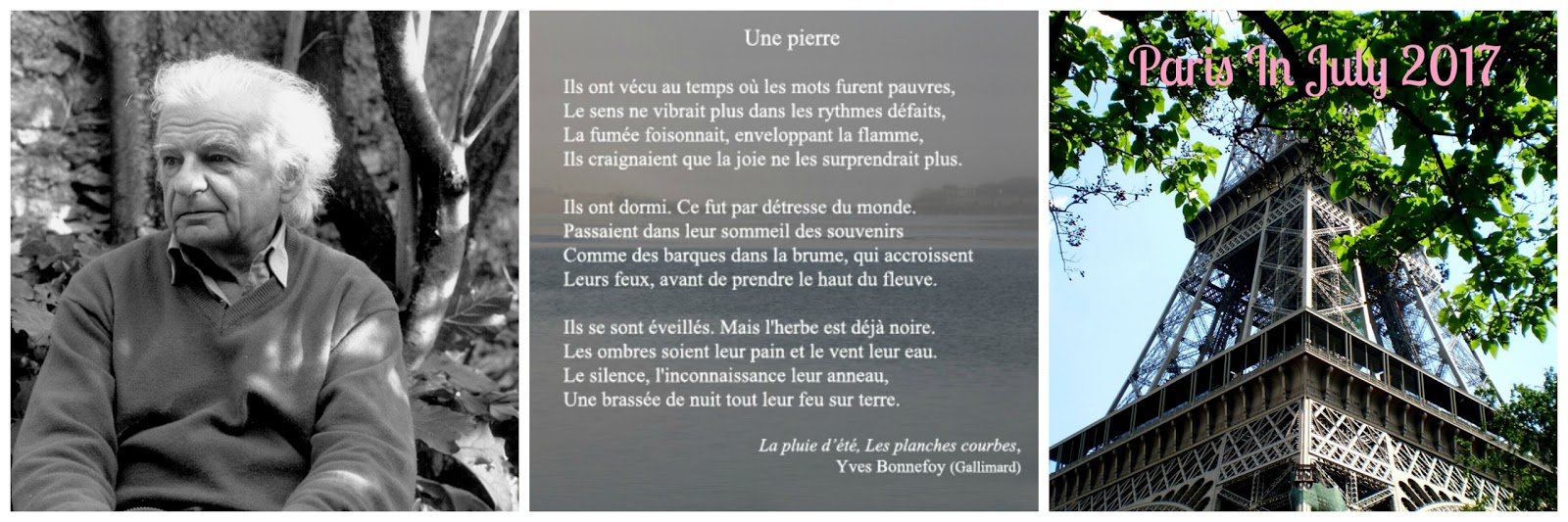 Snow Feathers Vive La France