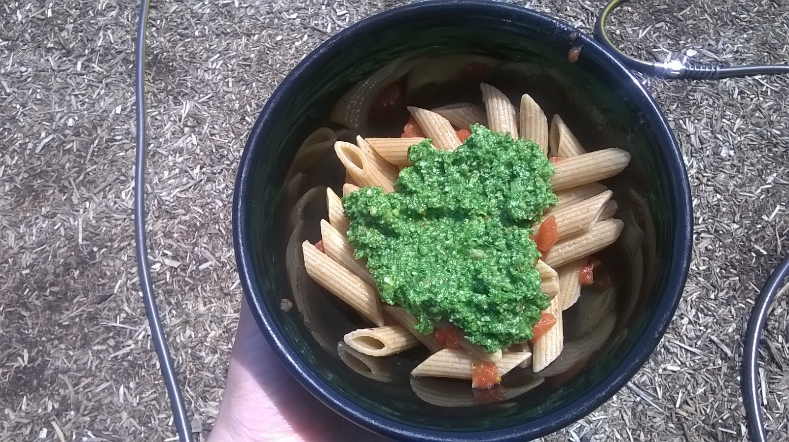 The Traveling Mandolin Foraging Stinging Nettle and Garlic Mustard