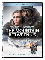 The Mountain Between Us DVD