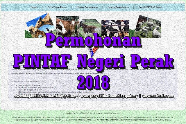 Permohonan PINTAF Negeri Perak 2018 bantuan lembu