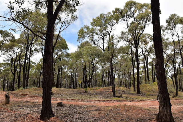 Goin' Feral One Day At A Time Moliagul, Moliagul Historic & Cultural