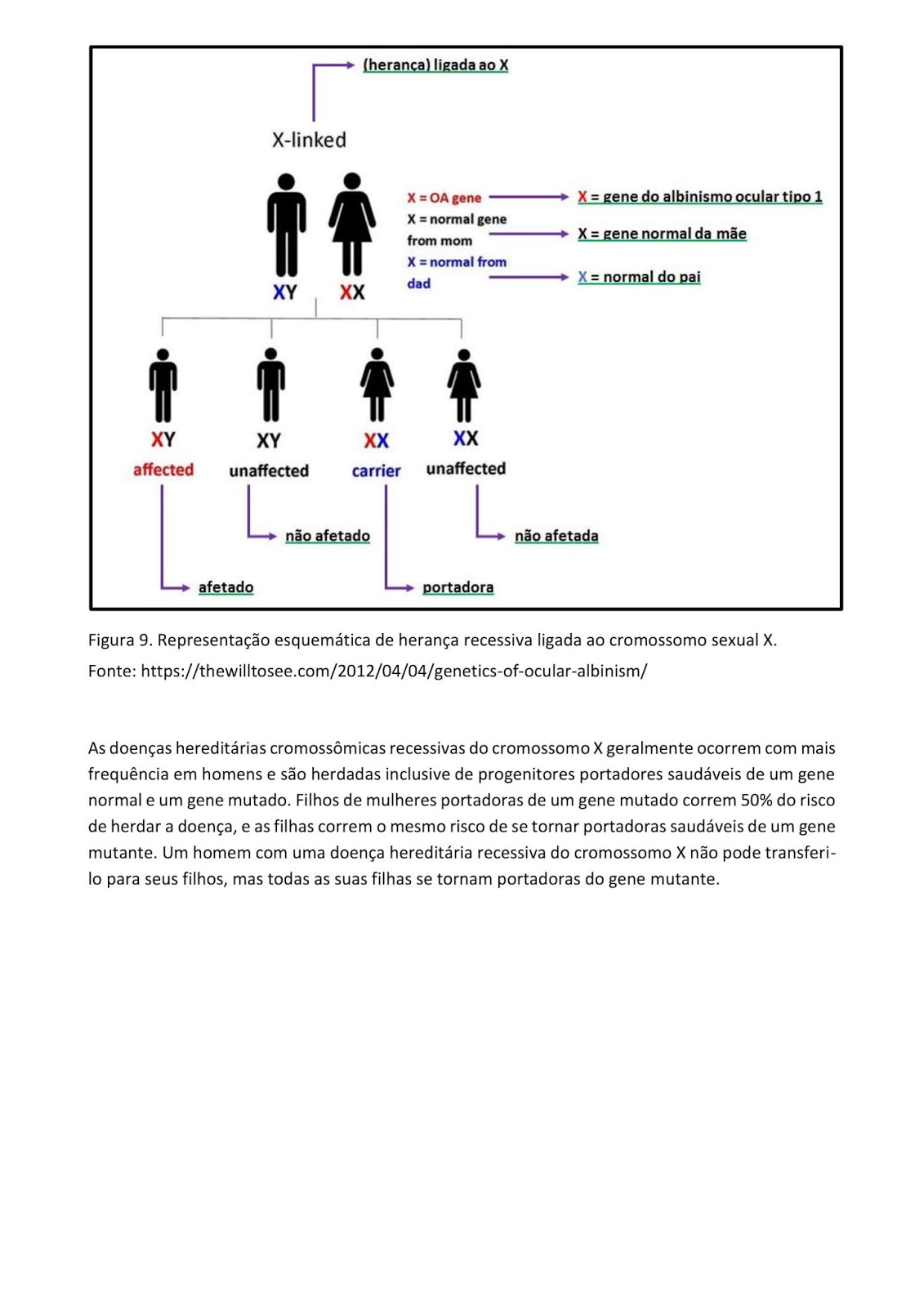 Pembuatan surat izin mengemudi online dating Que significa suppressor de apetito sexual orientation