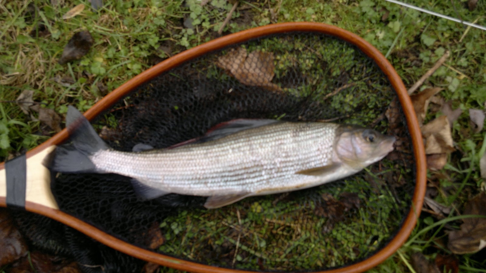 Go Fishing With Cadbury Angling Winter Fly Fishing on the Hampshire Avon Go Fishing With Cadbury Angling Winter Fly Fishing on the Hampshire Avon