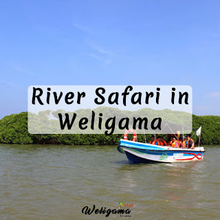 River Safari in Weligama | Things to Do & See in Weligama