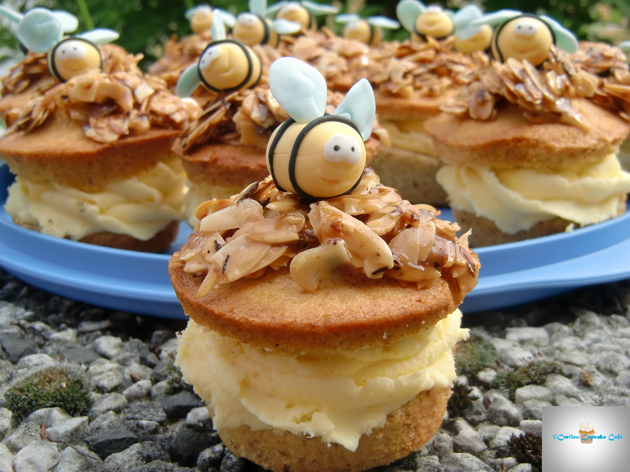 Céciles Cupcake Café: Bienenstich-Cupcakes mit Puddingcreme