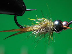 nest fly birds trout depth charge email blogthis