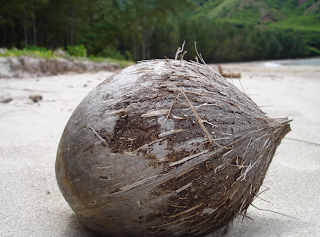 Coconut Oil as a Lube?