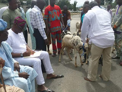 Gov.%2BFayose%2Bsupervises%2Band%2Brecords%2Bon%2Bpaper%2Bthe%2Bdistribution%2Bof%2BSallah%2Brams