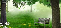 nature background images