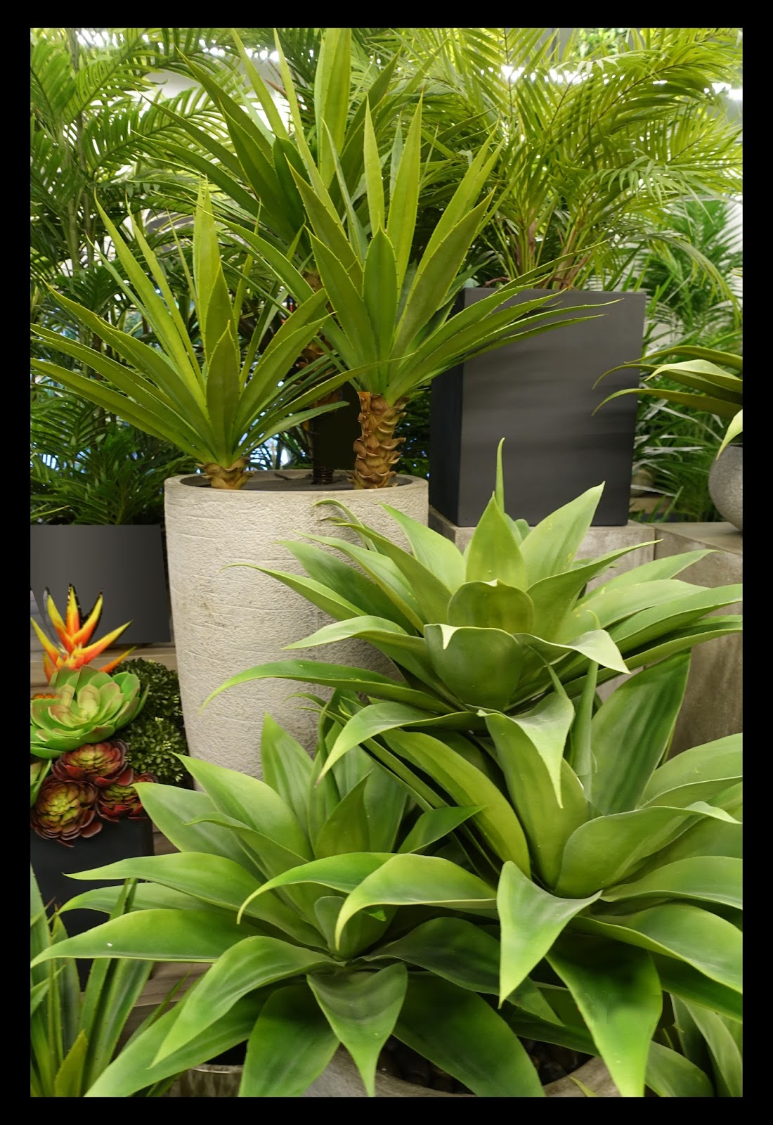 Finest quality artificial plants that look so realistic and natural
