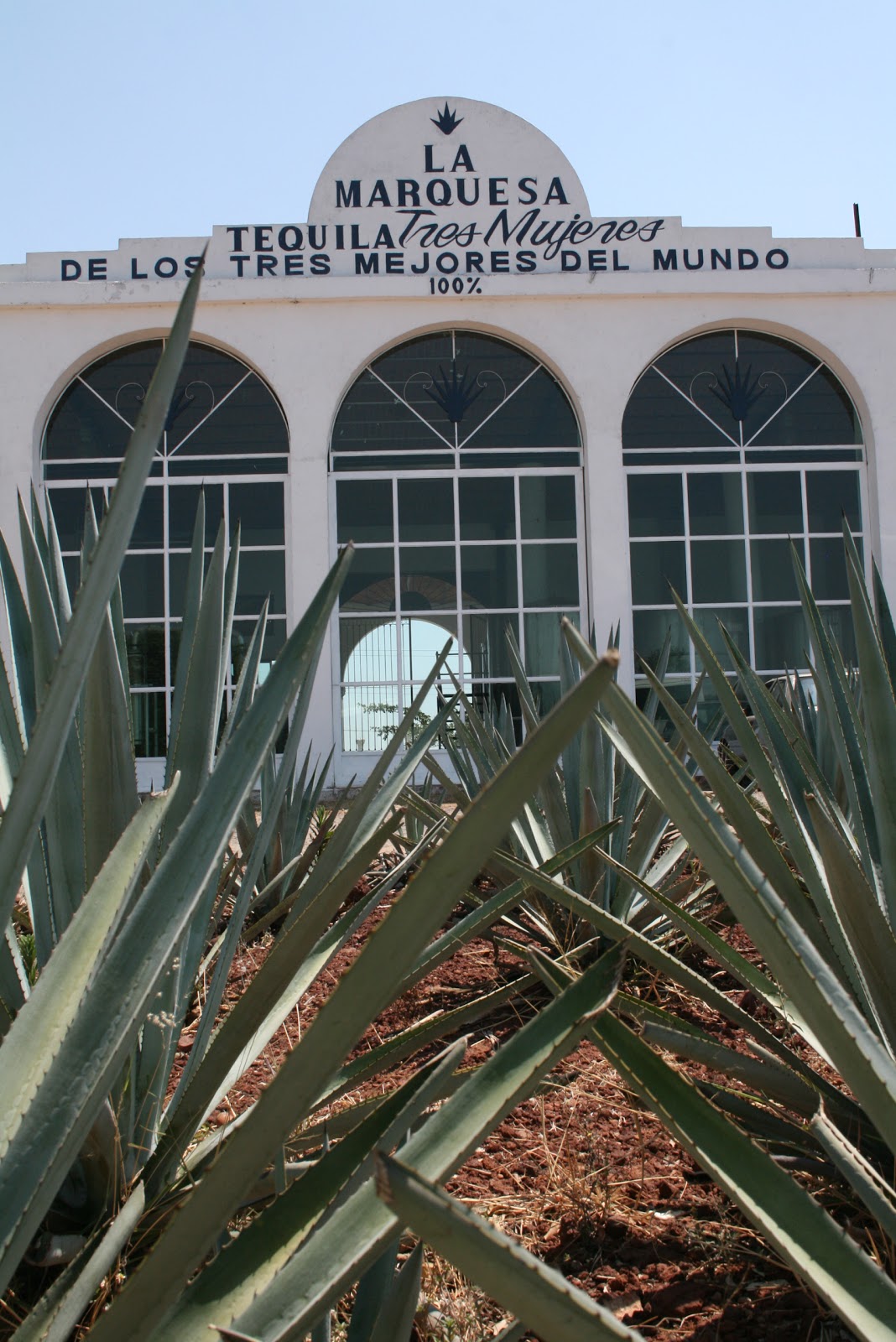 Dave and Fe road trippin' One Tequila, two Tequila, three Tequila, floor!