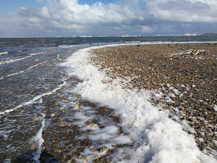 Pila de Guinness Pequeño Pacto por el Mar Menor: Espuma marina en el Mar Menor, ¿fenómeno natural o  efecto biológico de un ecosistema degradado?