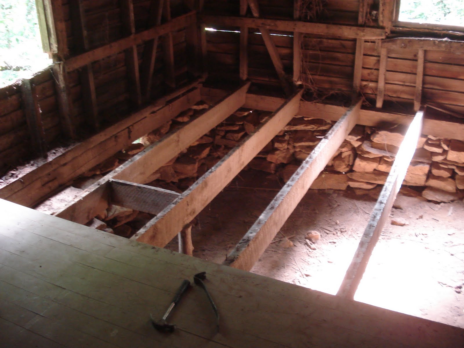 Cast Your Net Termites in new furniture?