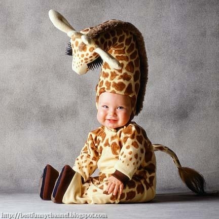 Baby giraffe.