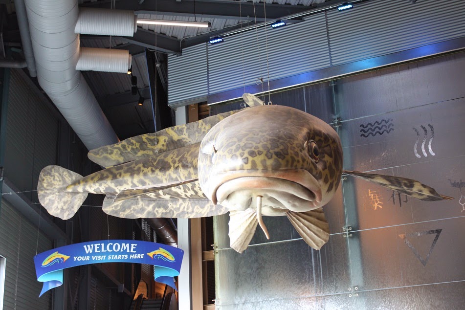 Michigan Exposures The Great Lakes Aquarium