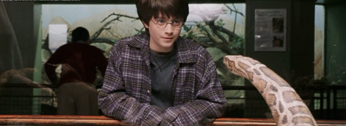  7 Teorias de Harry Potter