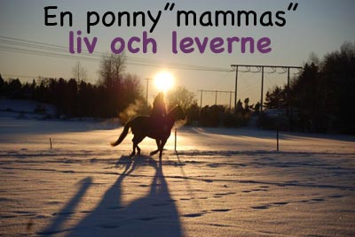 En ponny"mammas" liv och leverne