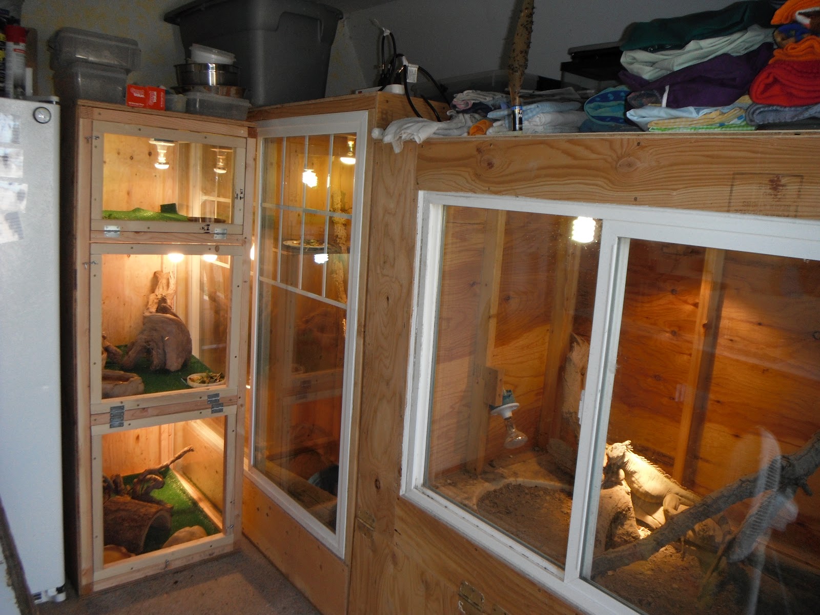 Wild Wonders Education