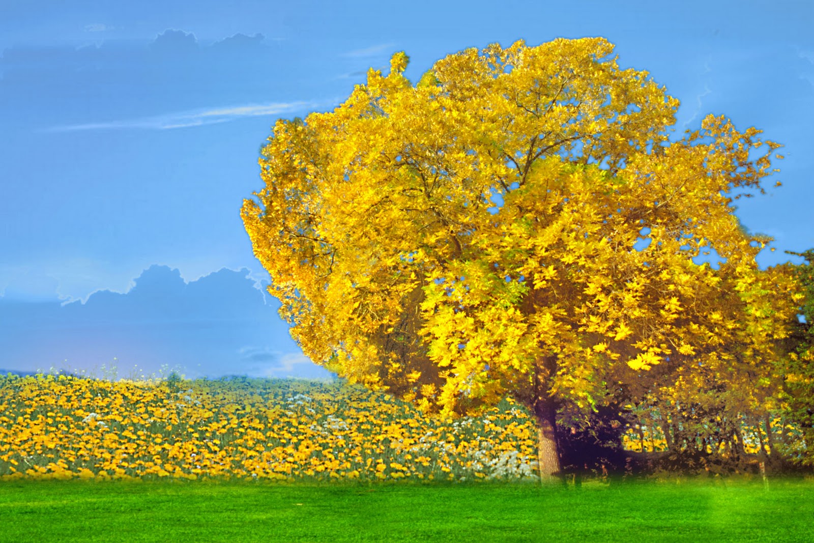 Digital Background Wallpapers | HD Wallpapers eZone