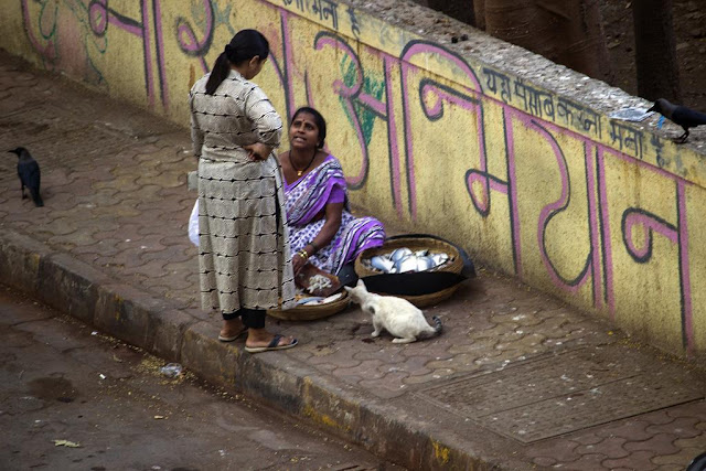fisherwoman, fish seller, fish retailer, bandra east, mumbai, india, street, street photo, street photography, 