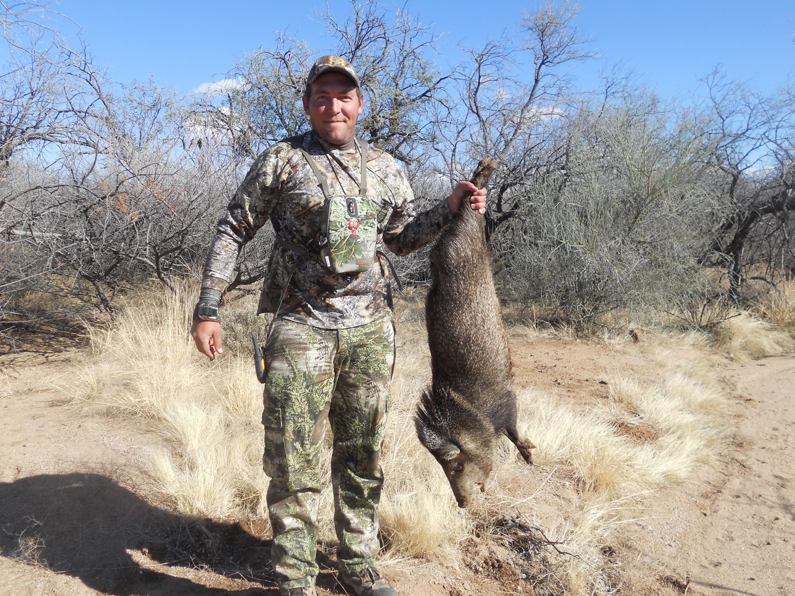 Badlands Custom Taxidermy / Desert Country Archery AZ Javelina