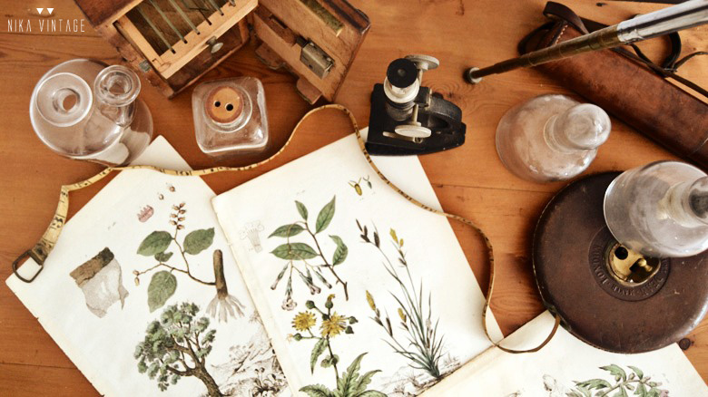 Decorar con objetos antiguos de laboratorio y botánica también son una buena opción para dar personalidad a nuestra casa