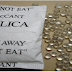 Don't Throw Away These Bags, See What They Can Do!