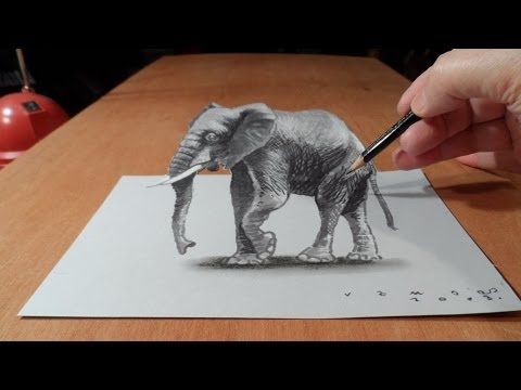 3d animal drawing in a picture frame