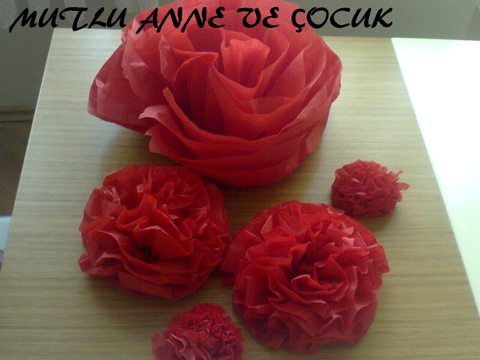 Tişörtünüz İçin Çiçek Süsleri Tişörtünüz İçin Çiçek Süsleri