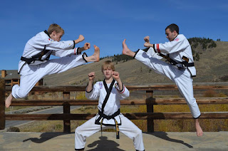 Karate and Taekwondo Black Belts Doing Martial Arts Karate and taekwondo black belts doing martial arts blocks and kicks