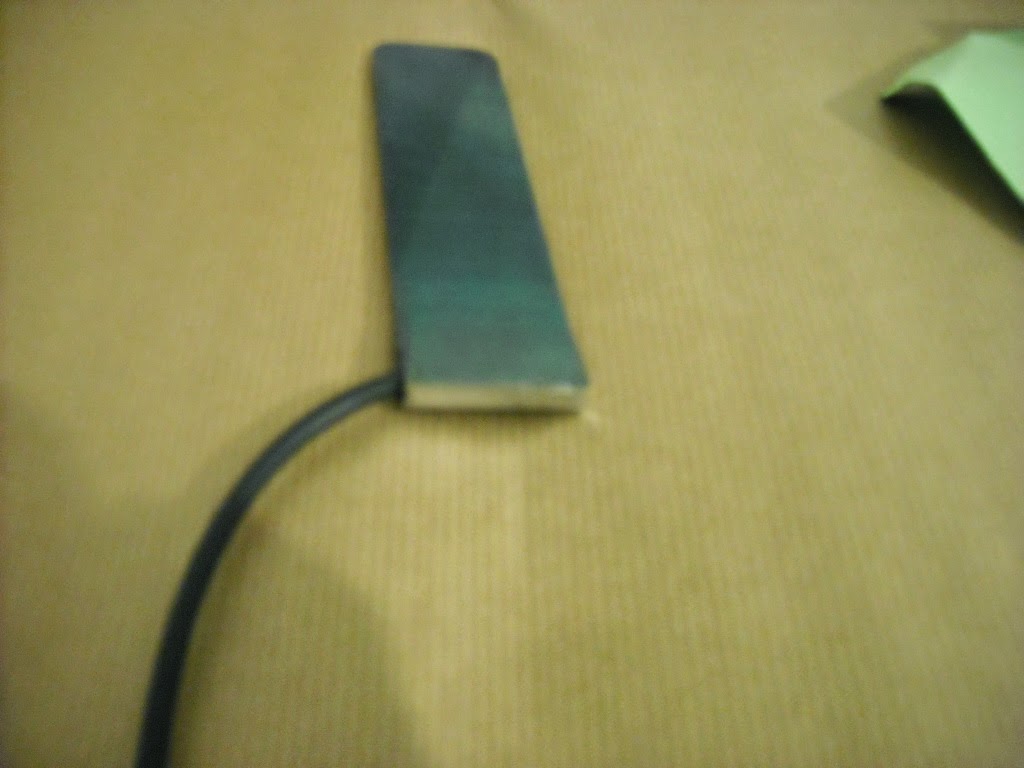DSCN7529.JPG