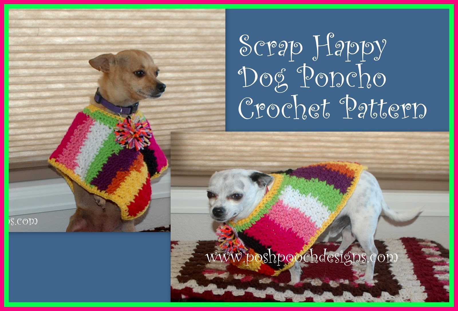 Pin en Posh Pooches