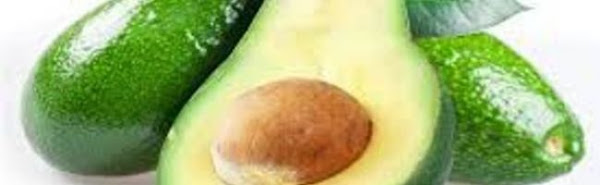 الأفوكادو يضبط مستوى الكوليسترول في الدم