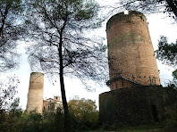 Vista de les dues Torres de Fals des de la torre nova