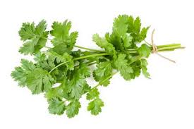 traitement impuissance masculine plantes traitement impuissance masculine plantes