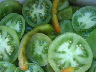 http://4.bp.blogspot.com/-wznzhDCh7fo/TcQEC2r8m7I/AAAAAAAAABI/pTbaP3ww-mY/s1600/greentoma.jpg