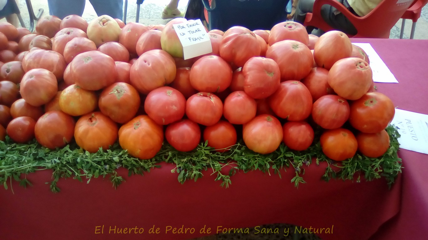 Propiedades antioxidantes, como bajar de peso efectivamente en una semana como bajar de peso efectivamente en una semana