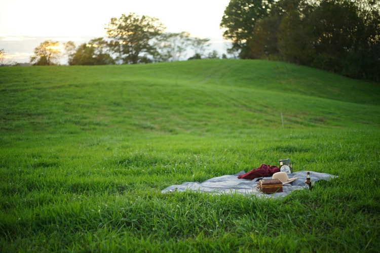 Picnic on Virginia's Rolling Hills