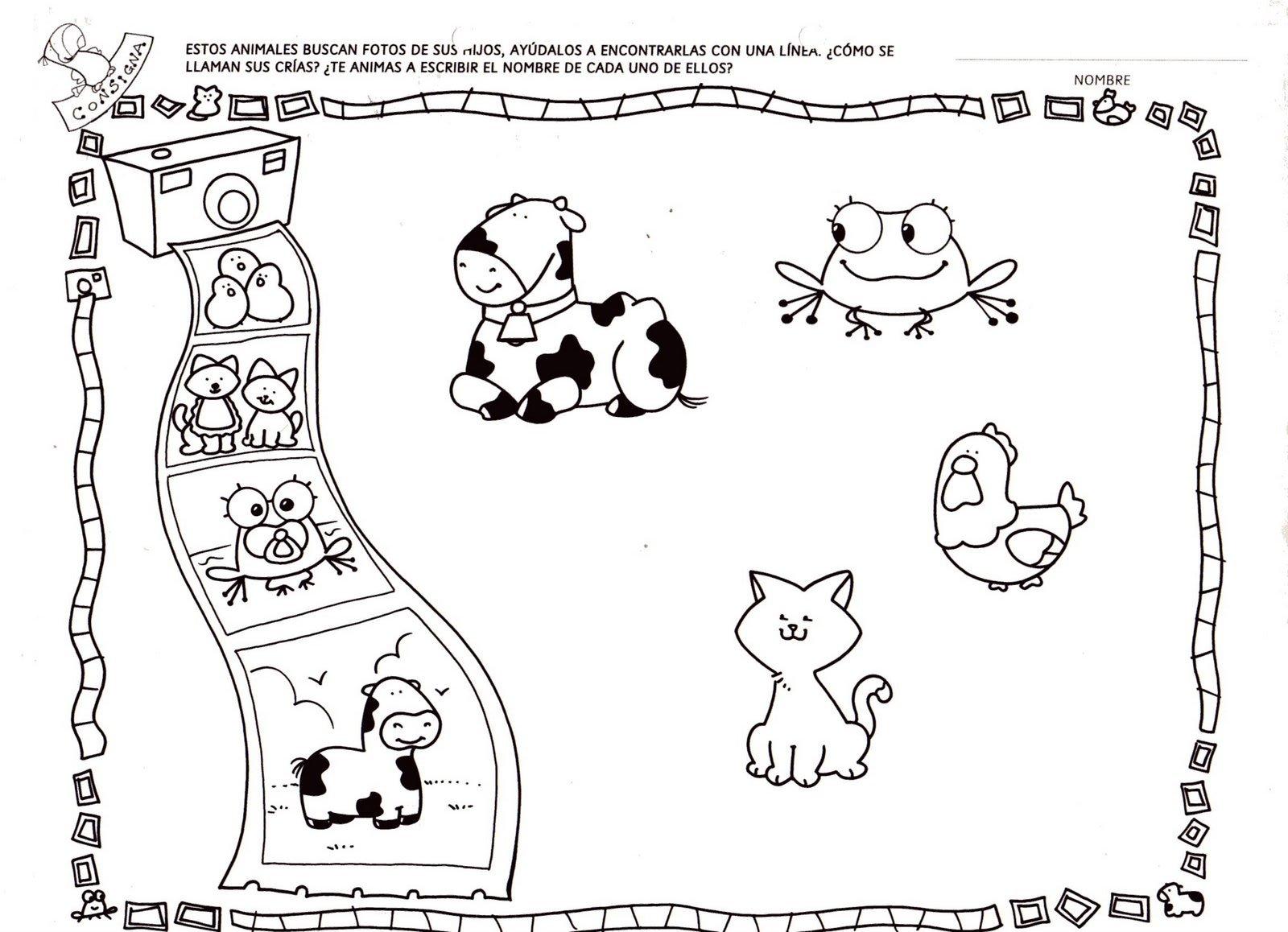 Los Animales Y Sus Derivados Para Colorear Imagui Los