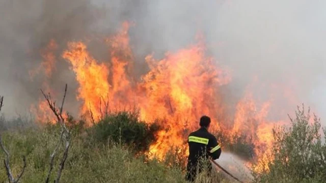 Έξω Παναγίτσα: Υπό έλεγχο η πυρκαγιά στη Χαραυγή